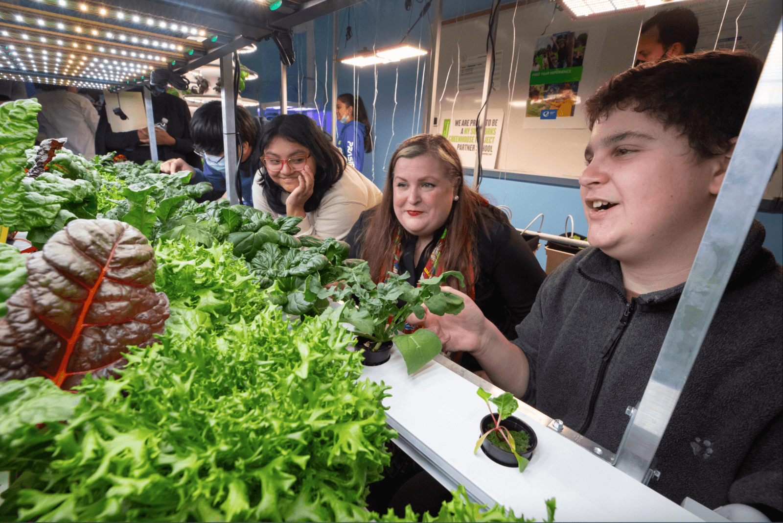 Astoria Queens Energy Tech High School new hydroponic