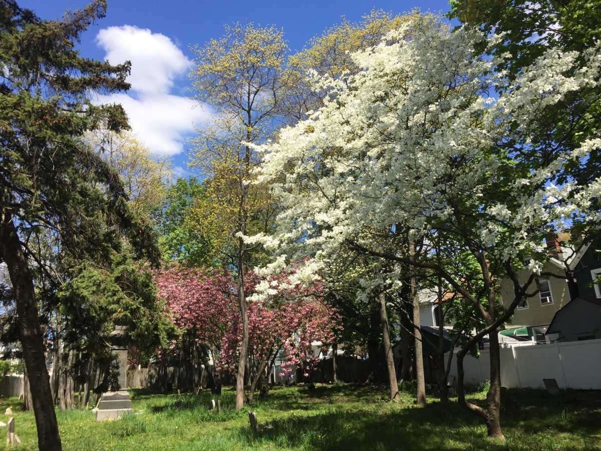 Wyckoff-Snedeker Family Cemetery