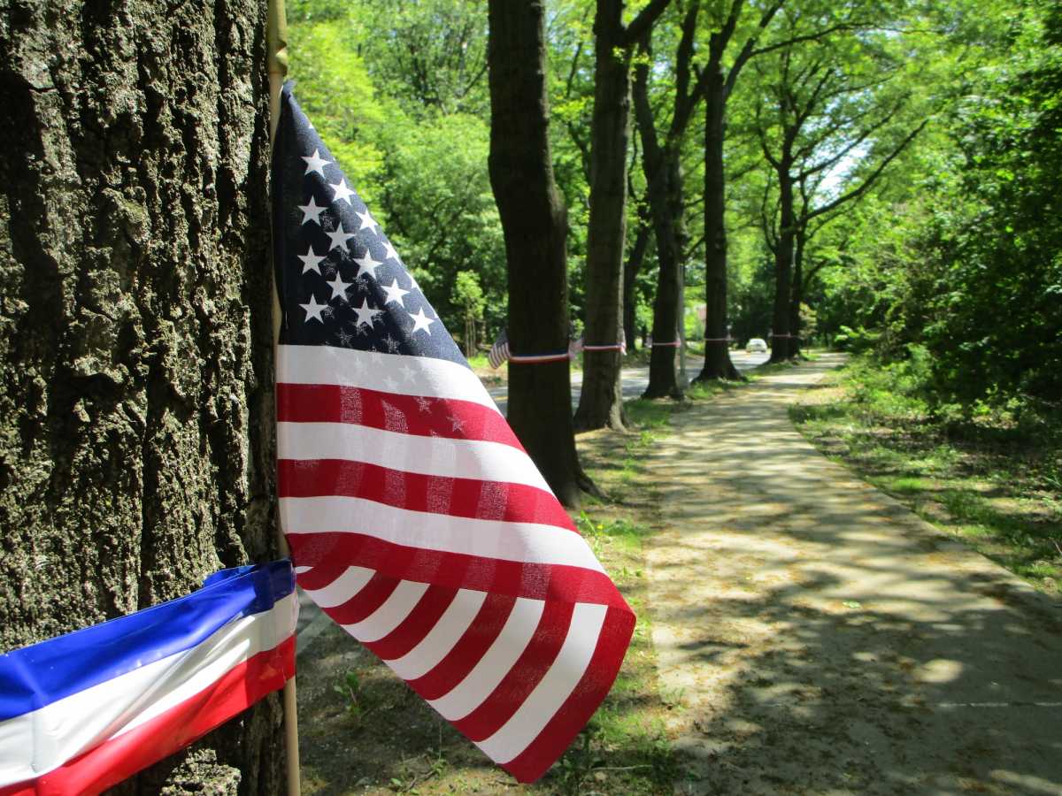 memorial-trees-01