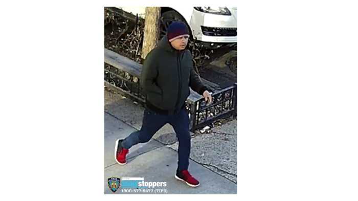 Astoria purse snatcher