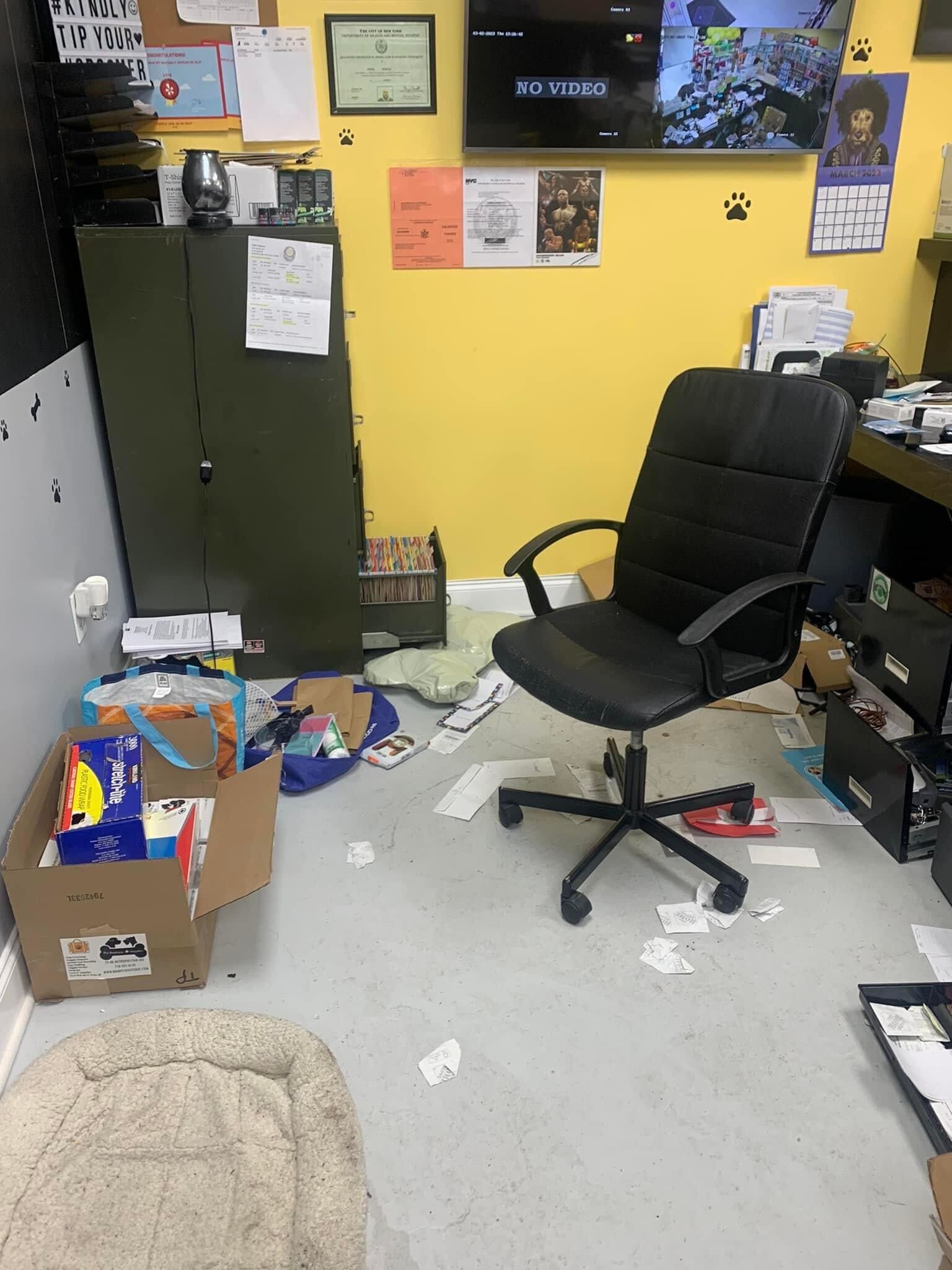 Middle Village pet boutique robbed