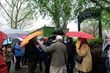 Jane's Walk