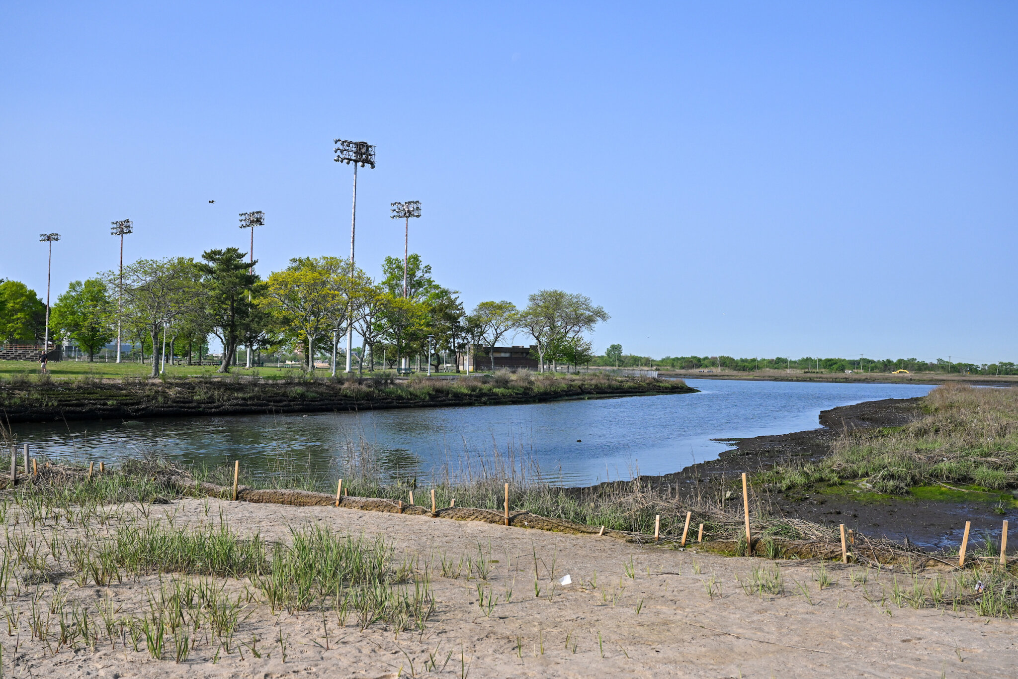 City finishes 700,000 wetlands restoration project at Hook Creek Park