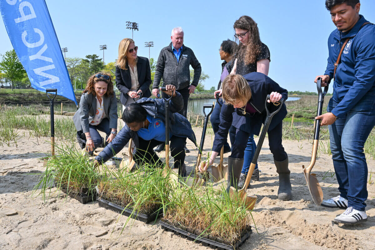 Hook Creek Park restoration