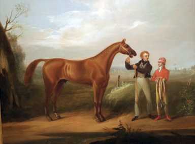 Portrait of American Eclipse, who ran at Union Course in Woodhaven