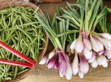 farmstand