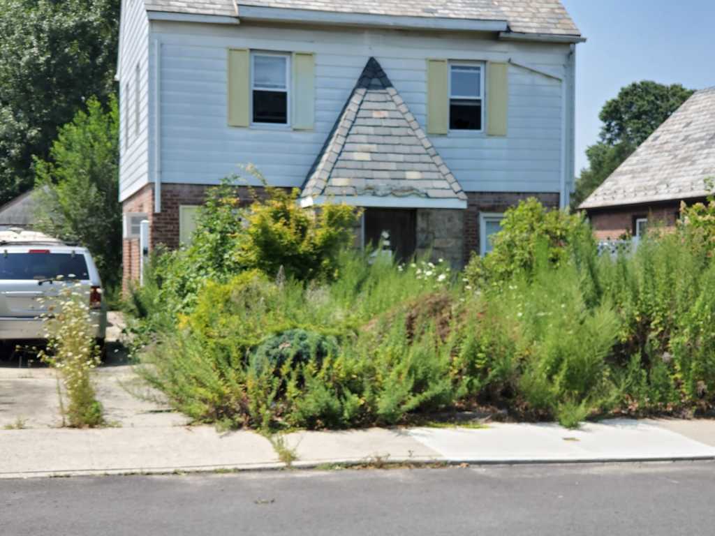 zombie house
