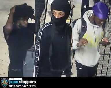 Forest Hills crooks