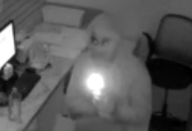2459-23 Burglary Pattern 93 104 Pct 8-8-23 photo 2