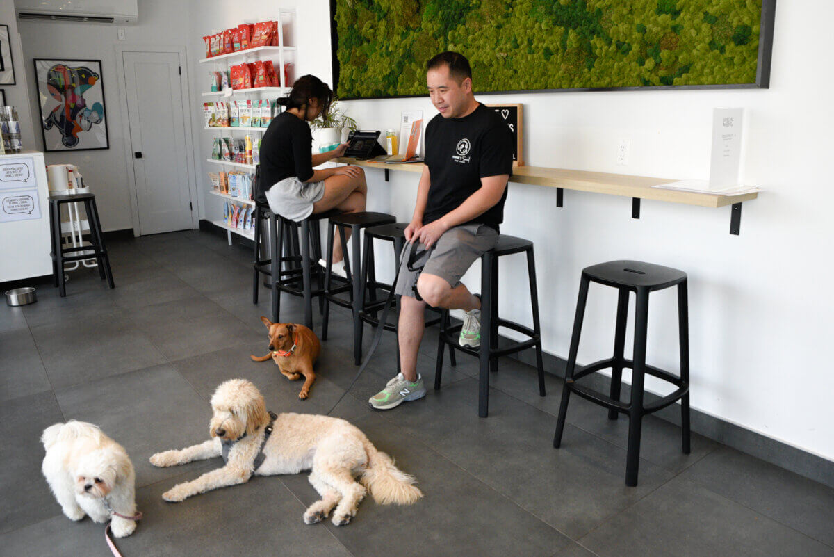 cafe