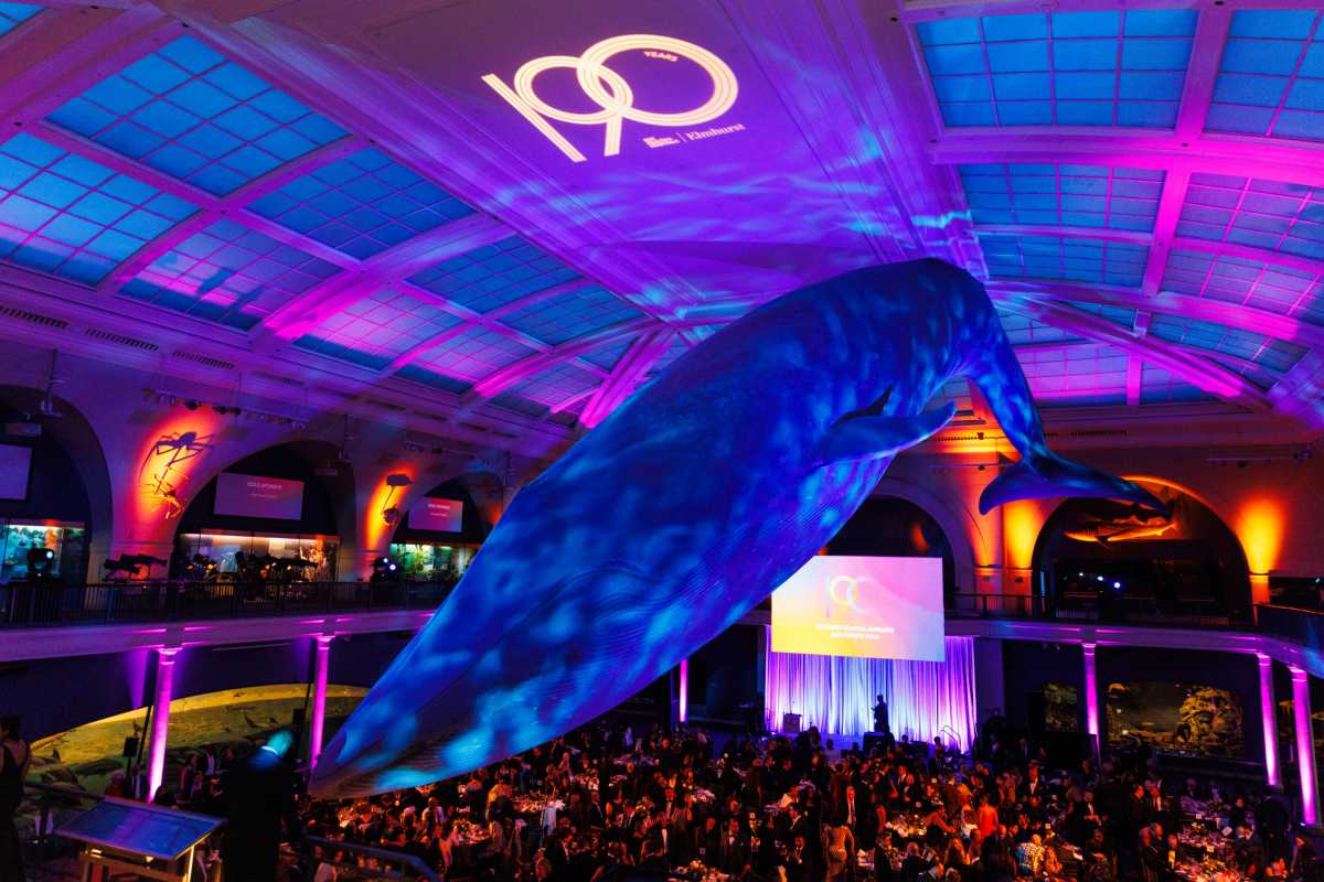 Elmhurst Hospital gala