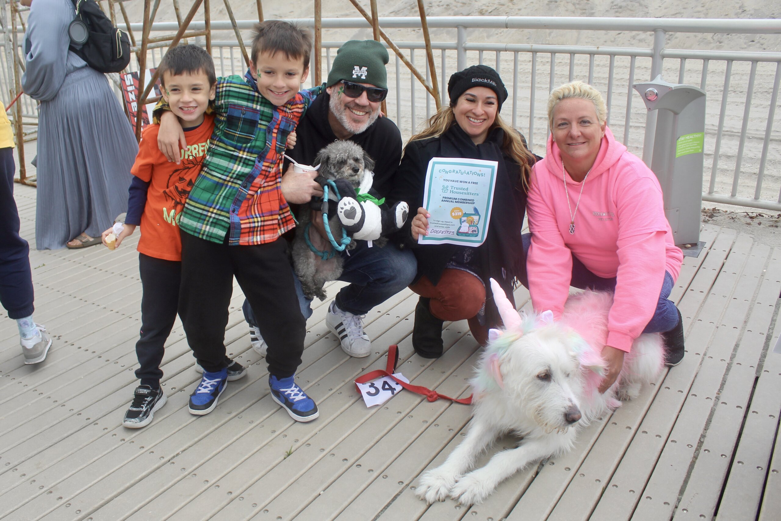 Rockaway doggy day store care