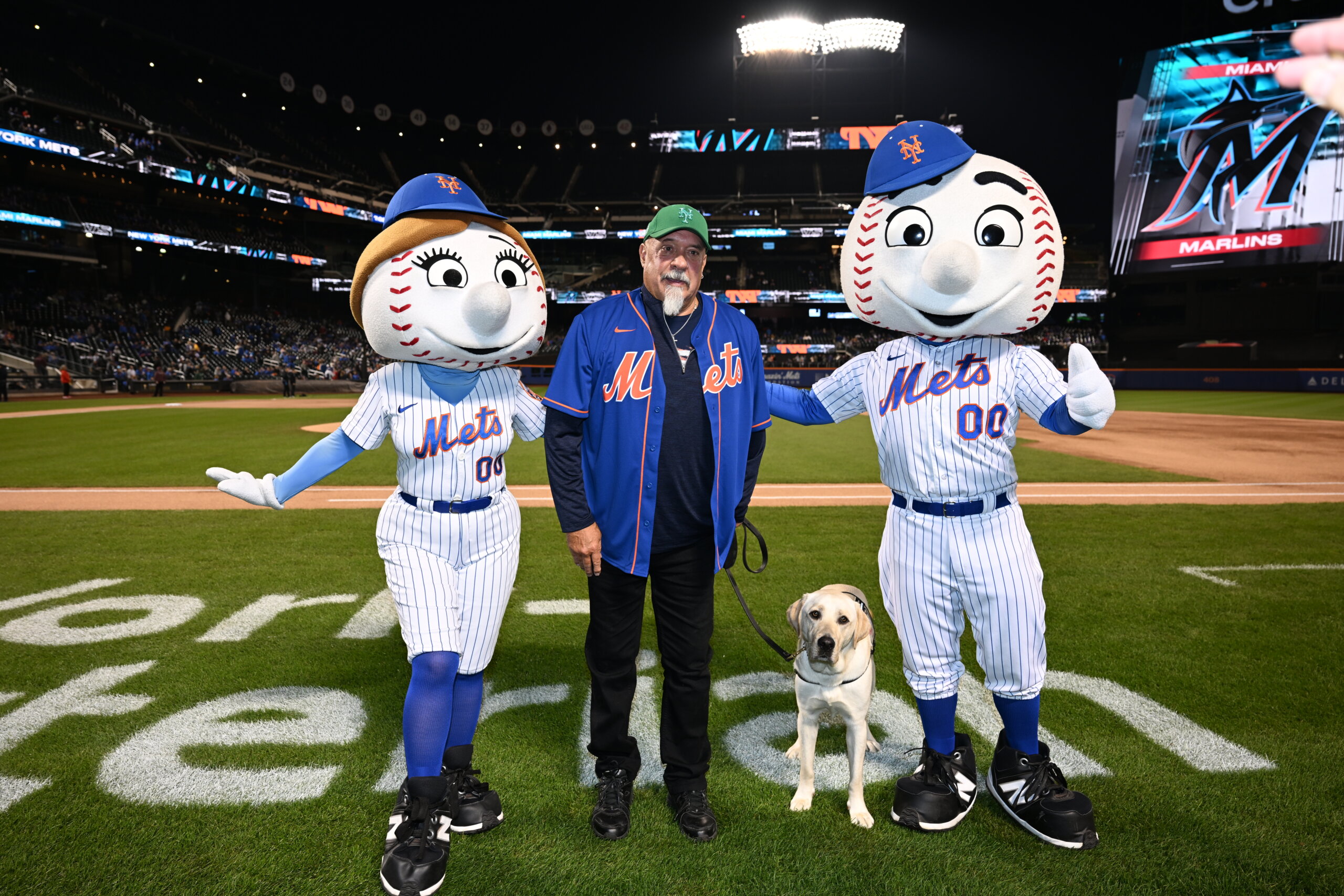 Shea the puppy trains to be a service dog at New York Mets stadium