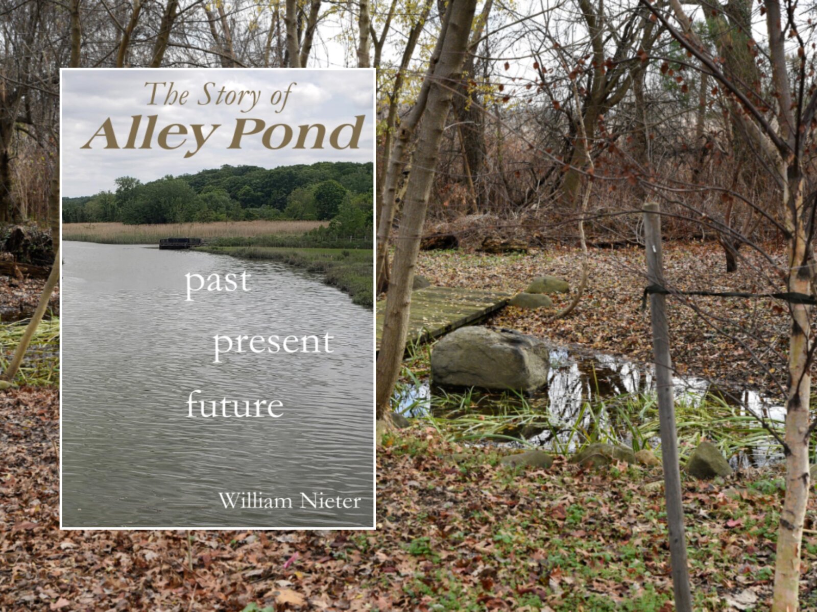 Retired St. John’s environmental professor pens book on Alley Pond Park