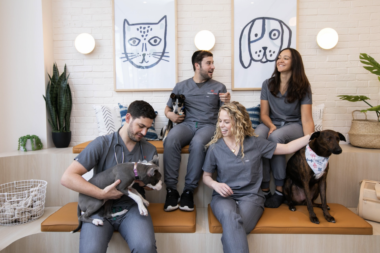 Tech focused vet clinic set to open two new locations in Queens