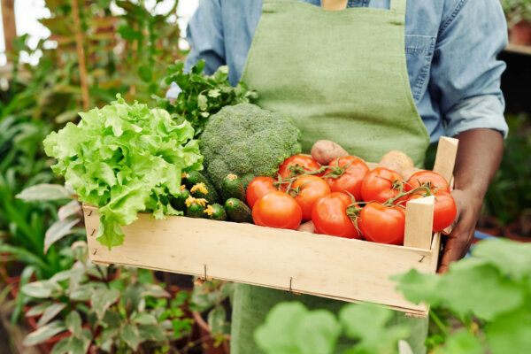 food insecurity