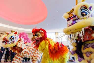 lunar new year