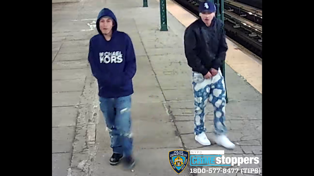 110 Pct.-TD 20 Robbery Photo