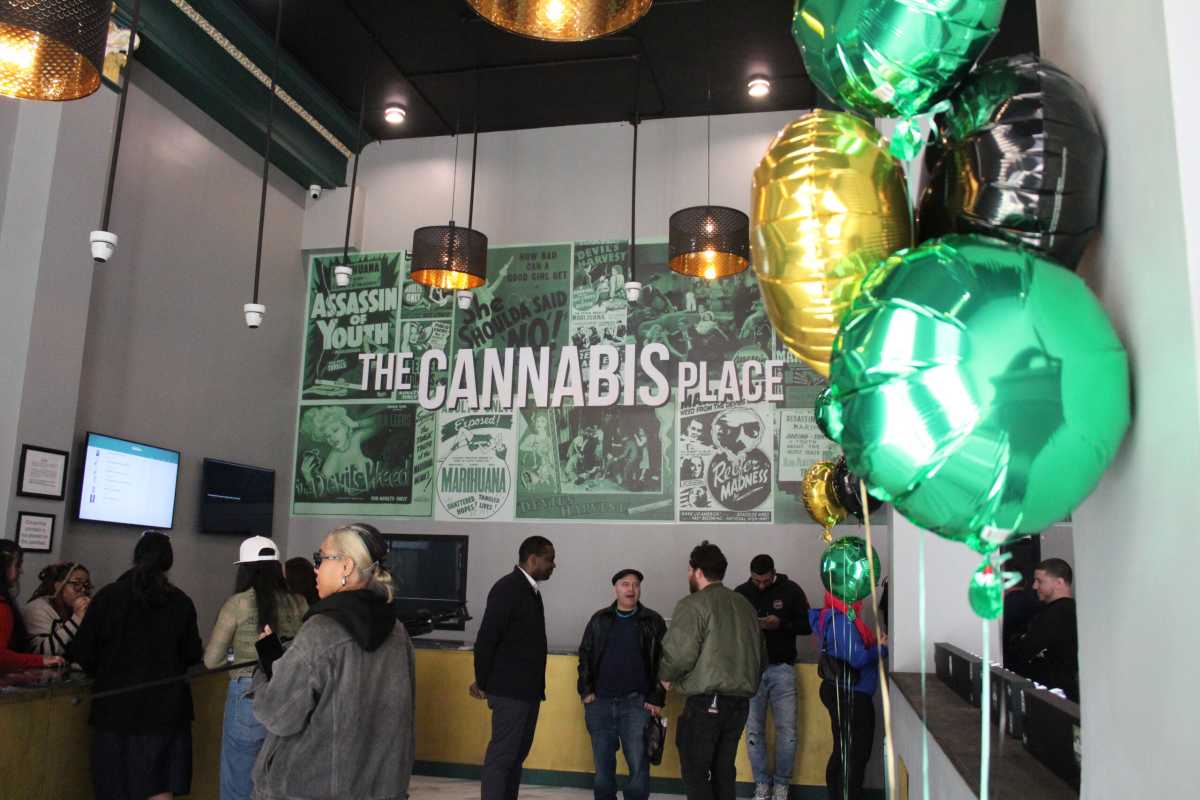 cannabis place