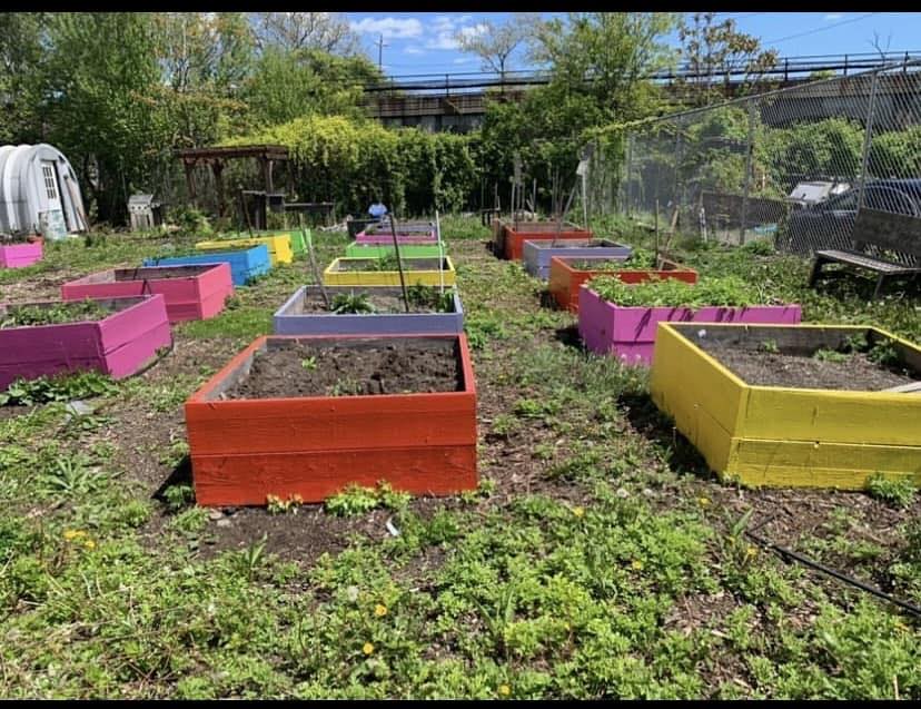 community garden