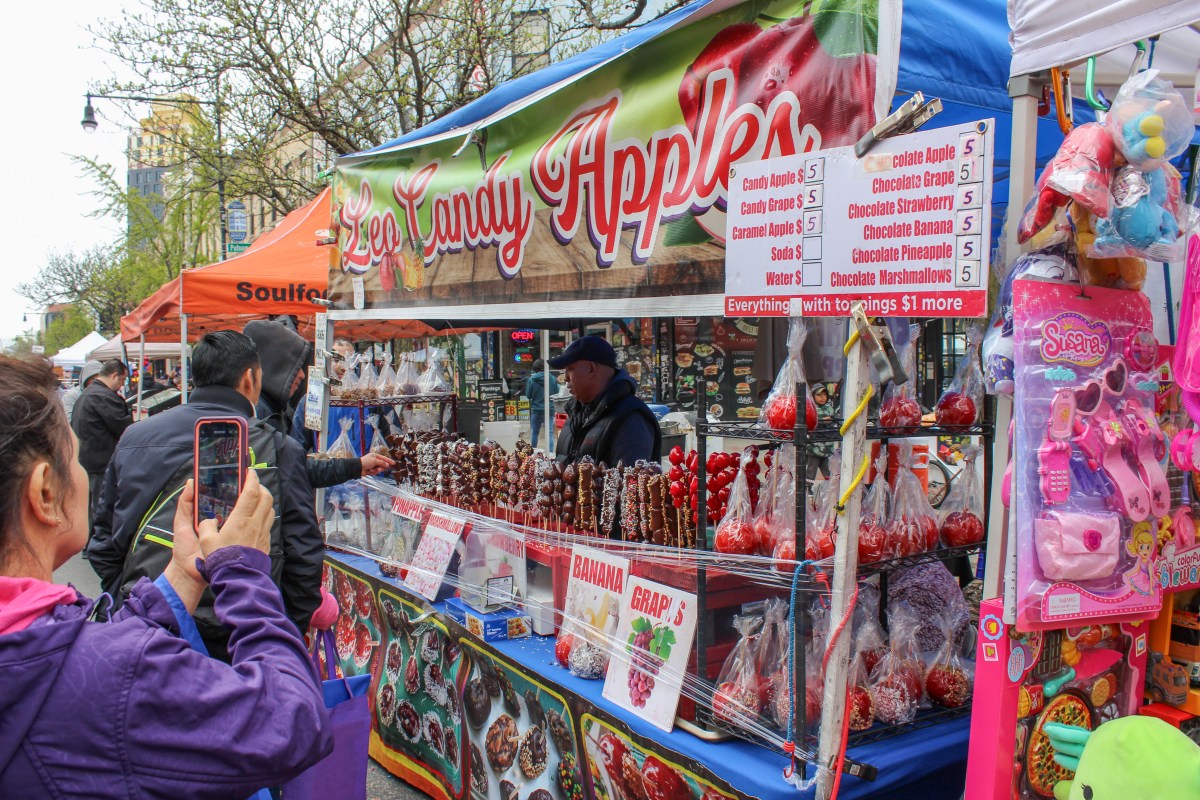 Medina Myrtle Ave Spring Street Fair 2024