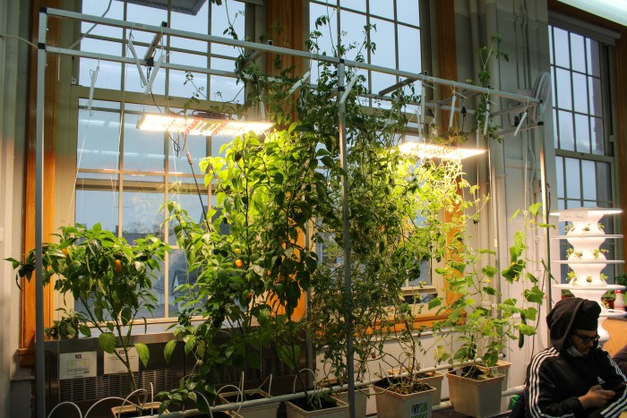 IMG_9841.jpg?resize=700,467