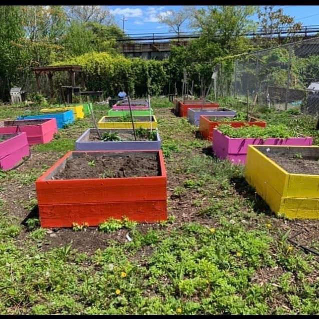 community garden