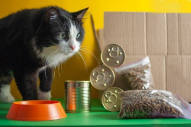 The concept of delivering pet food. Contactless delivery during quarantine