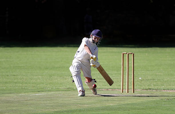 cricket