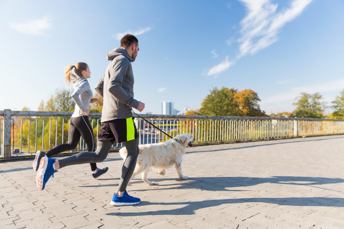 happy couple with dog running outdoors