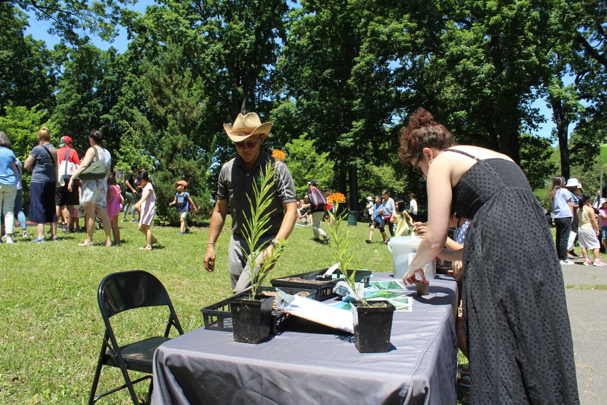 A NYC Parks activity table giving participants their own flowers to grow on Saturday, June 15.Photo by Anthony Medina