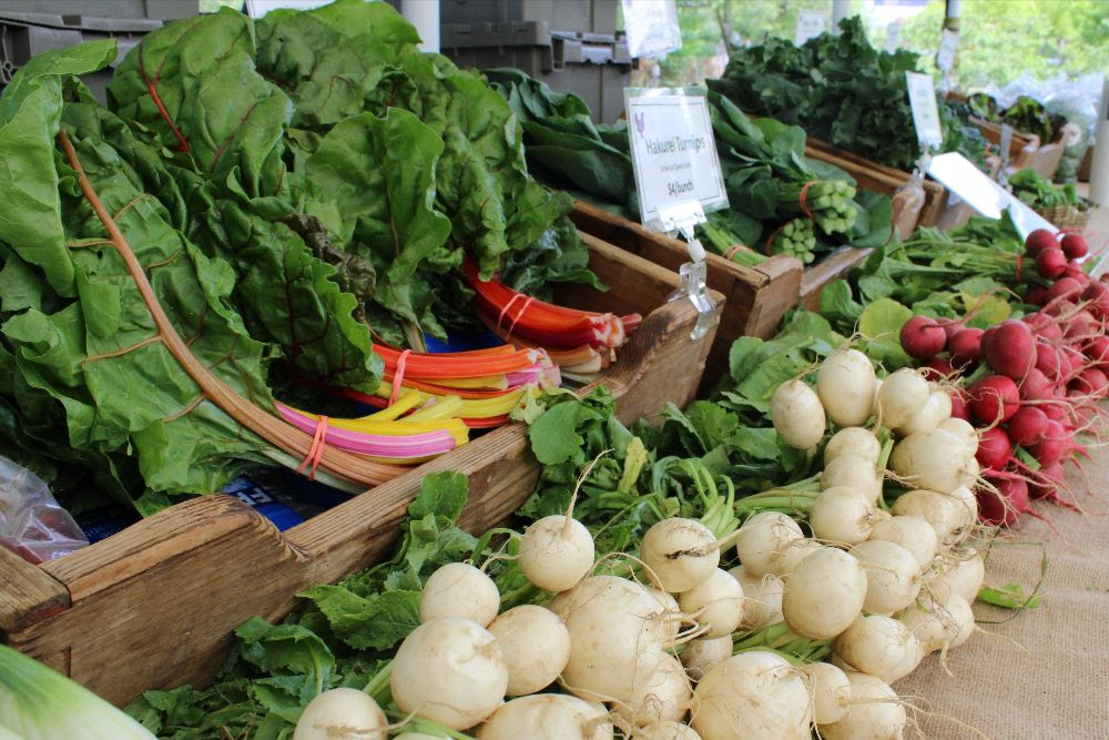 Farmstands open for season at Queens County Farm Museum and Jamaica Hospital