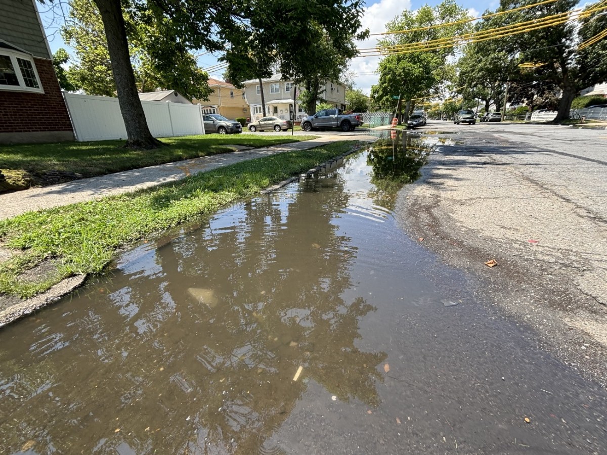 City starts .8 million infrastructure project in Rosedale to address flooding and fix roadways – QNS