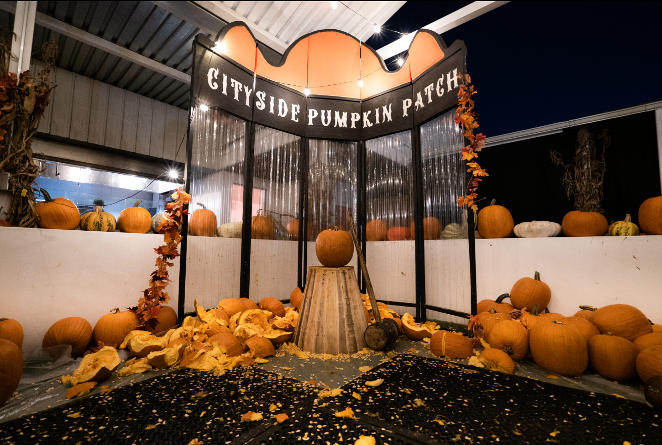 Pumpkin picking with a view Long Island City’s Cityside Patch returns