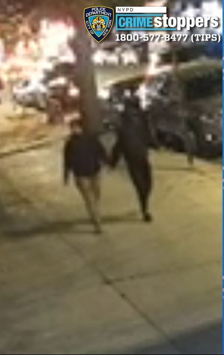 Two suspects sought for groping, punching and robbing a woman in Ozone Park on Saturday night: NYPD