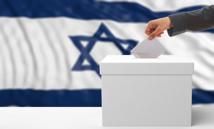 Voter on an Israel flag background. 3d illustration