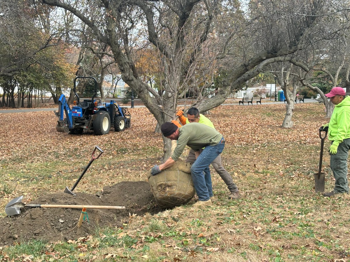 Queens Botanical Garden in Flushing blossoms with 25 new trees in Crabapple Grove