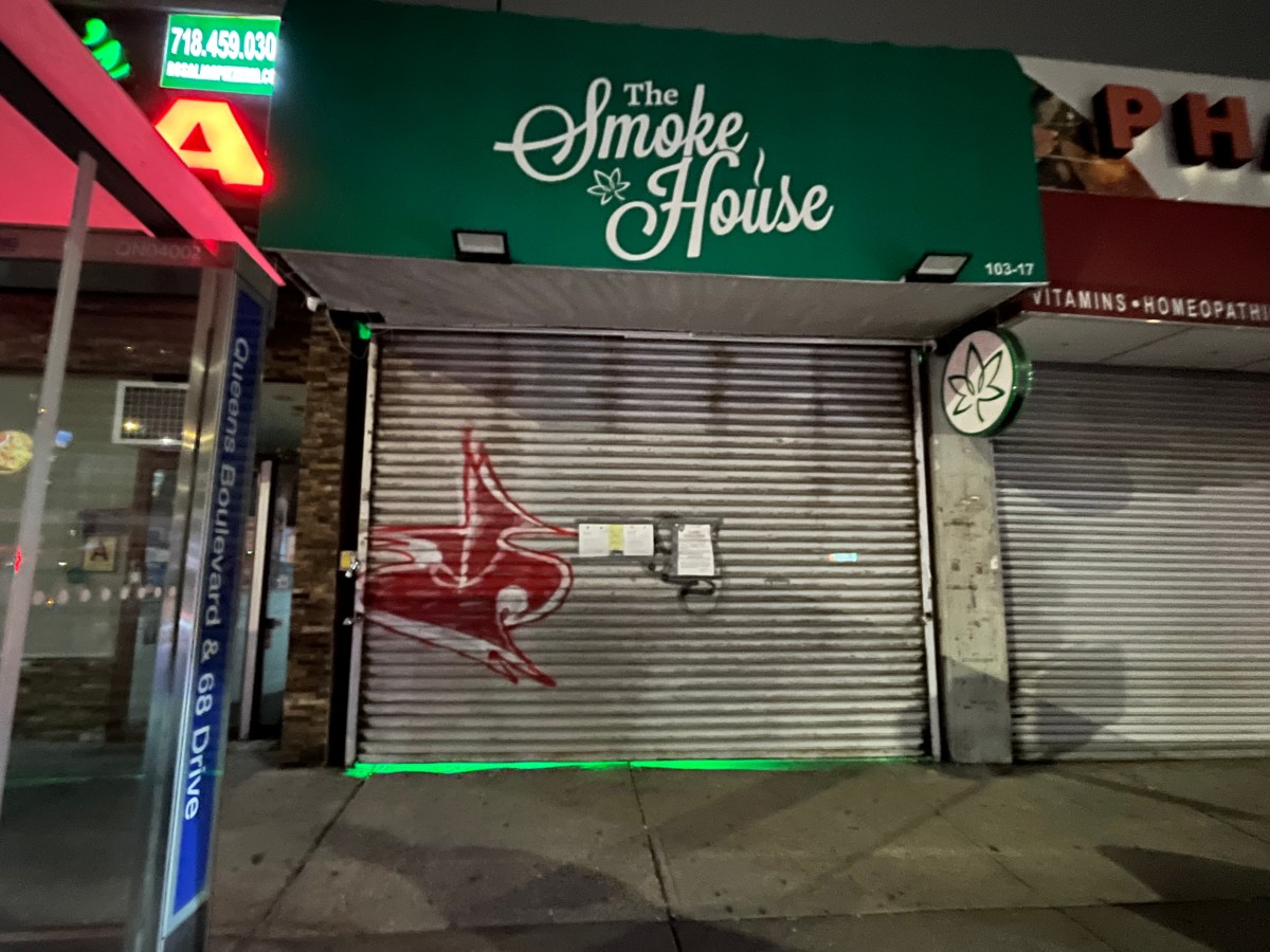 forest hills cannabis shop_PHOTO