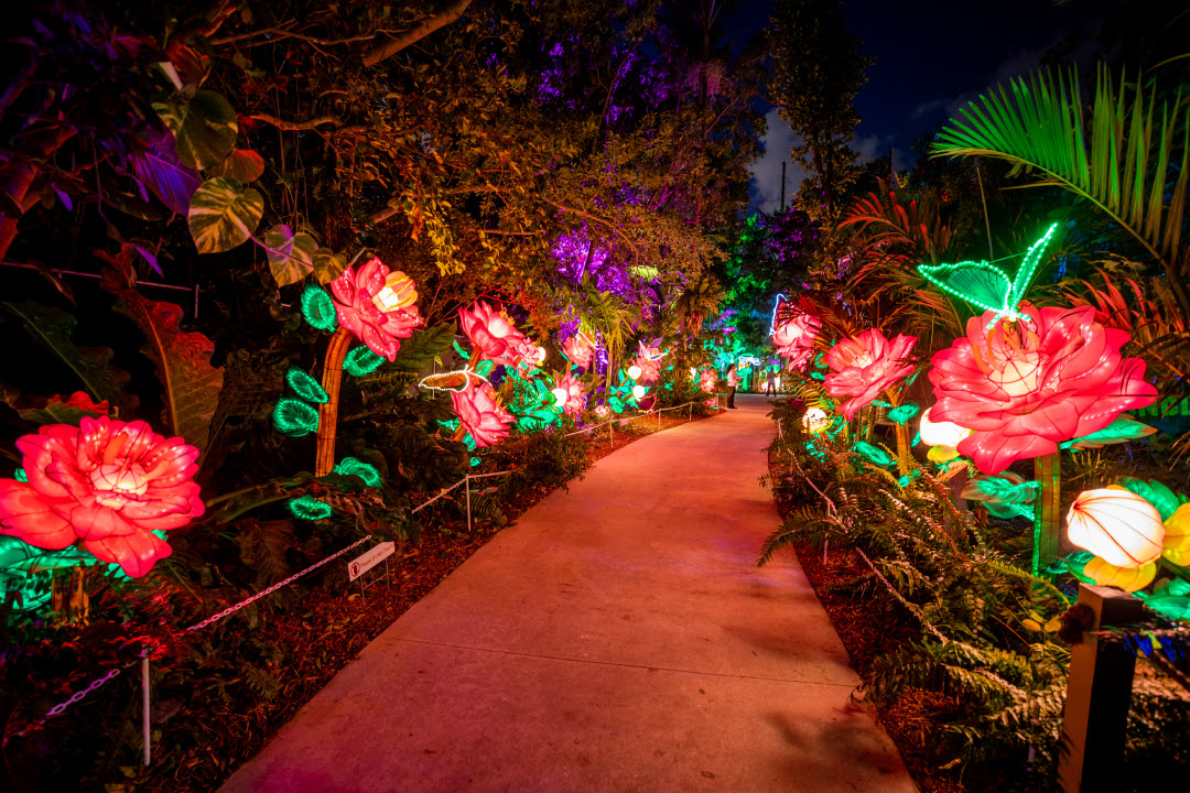 Lektrik brings dazzling light displays to Queens Botanical Garden through March