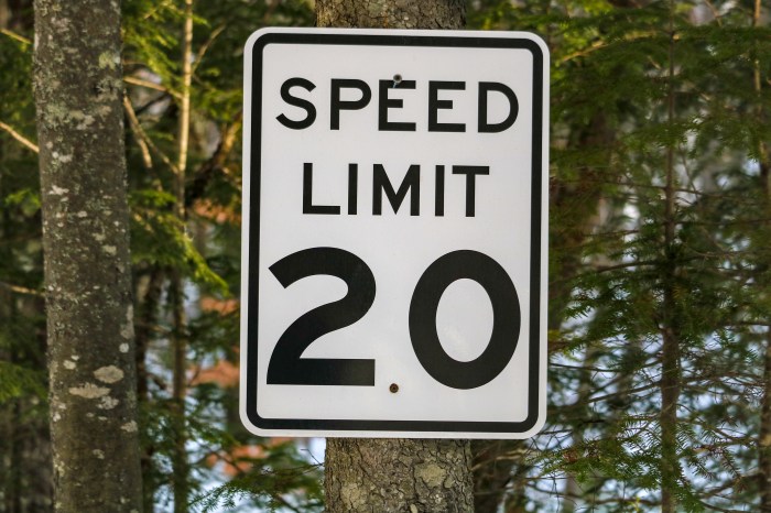 20 Miles Per Hour Speed Limit Sign