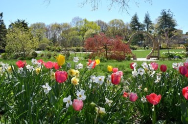 Qnsbotanicalgarden