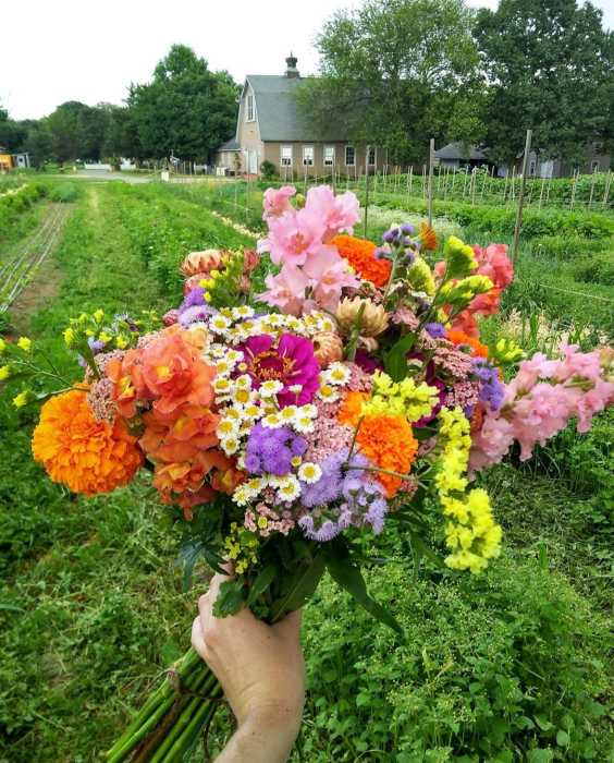 queens county farm