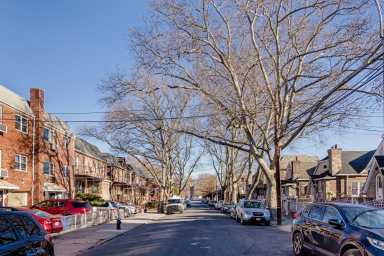 tree care