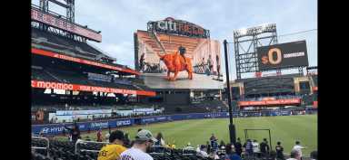 mets