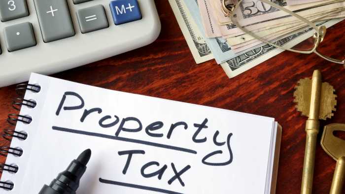 property tax exemption