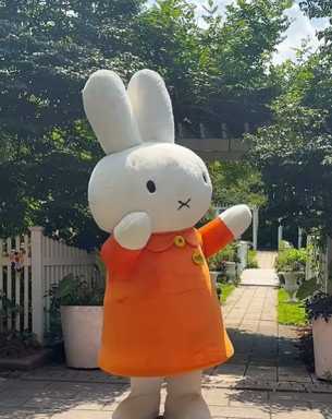 miffy