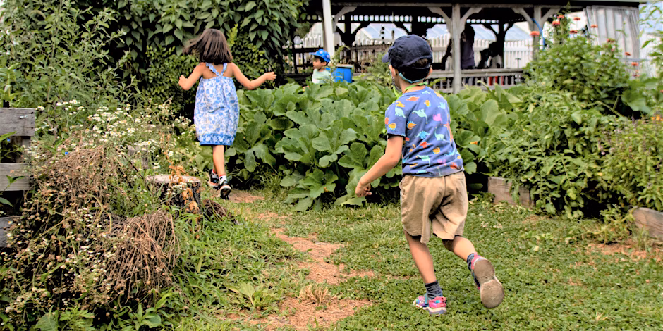 queens botanical garden