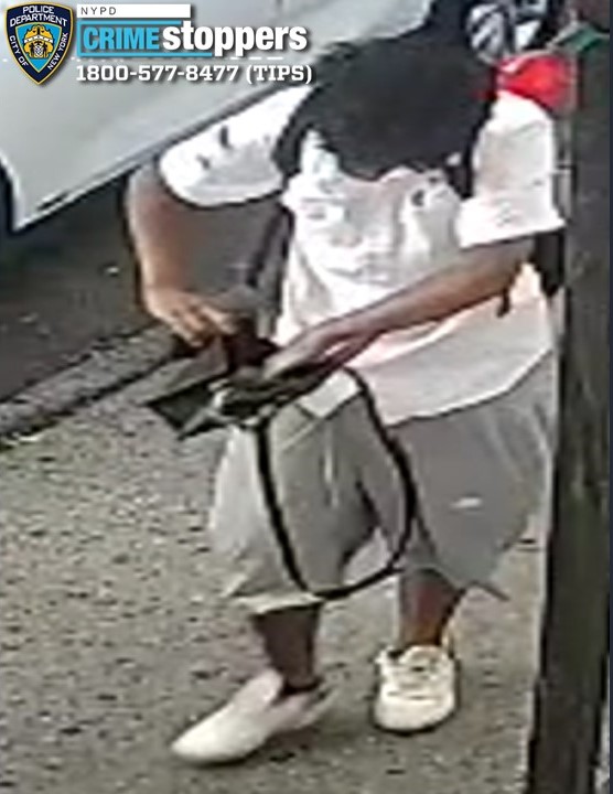 The alleged mugger was caught on camera checking the contents of the stolen purse, which contained $250 in cash, police said.