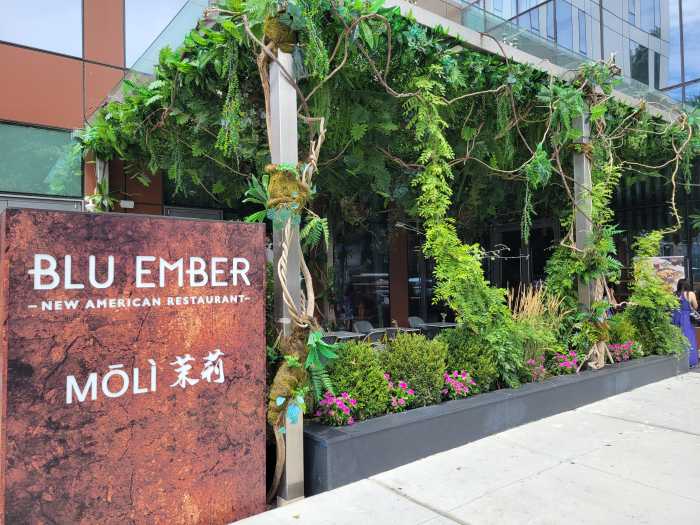 Blu Ember