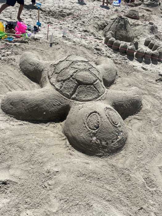 A snapshot of the sandcastle competition in 2022 includes an intricately constructed turtle.
